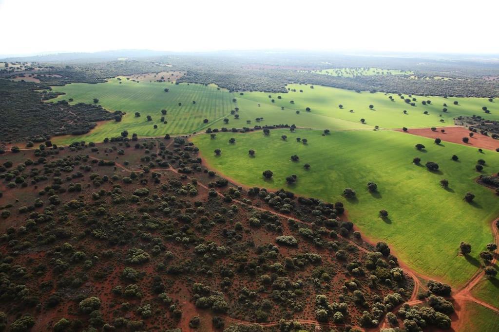 Villa Cerro Moreno Ossa de Montiel Bagian luar foto