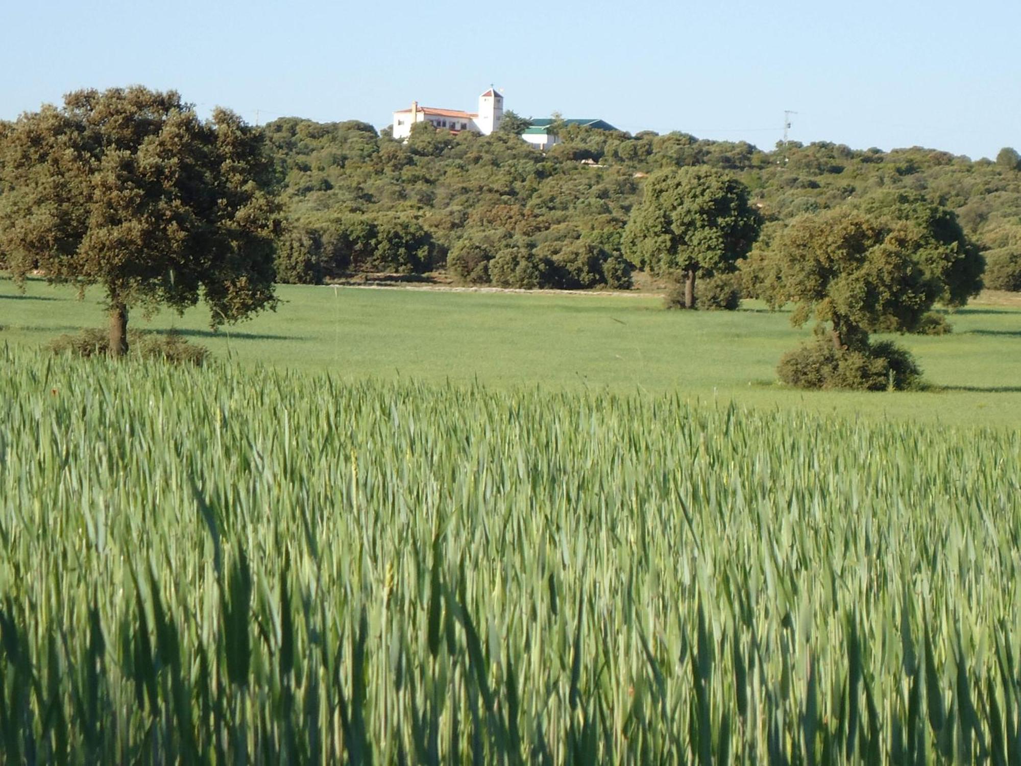 Villa Cerro Moreno Ossa de Montiel Bagian luar foto