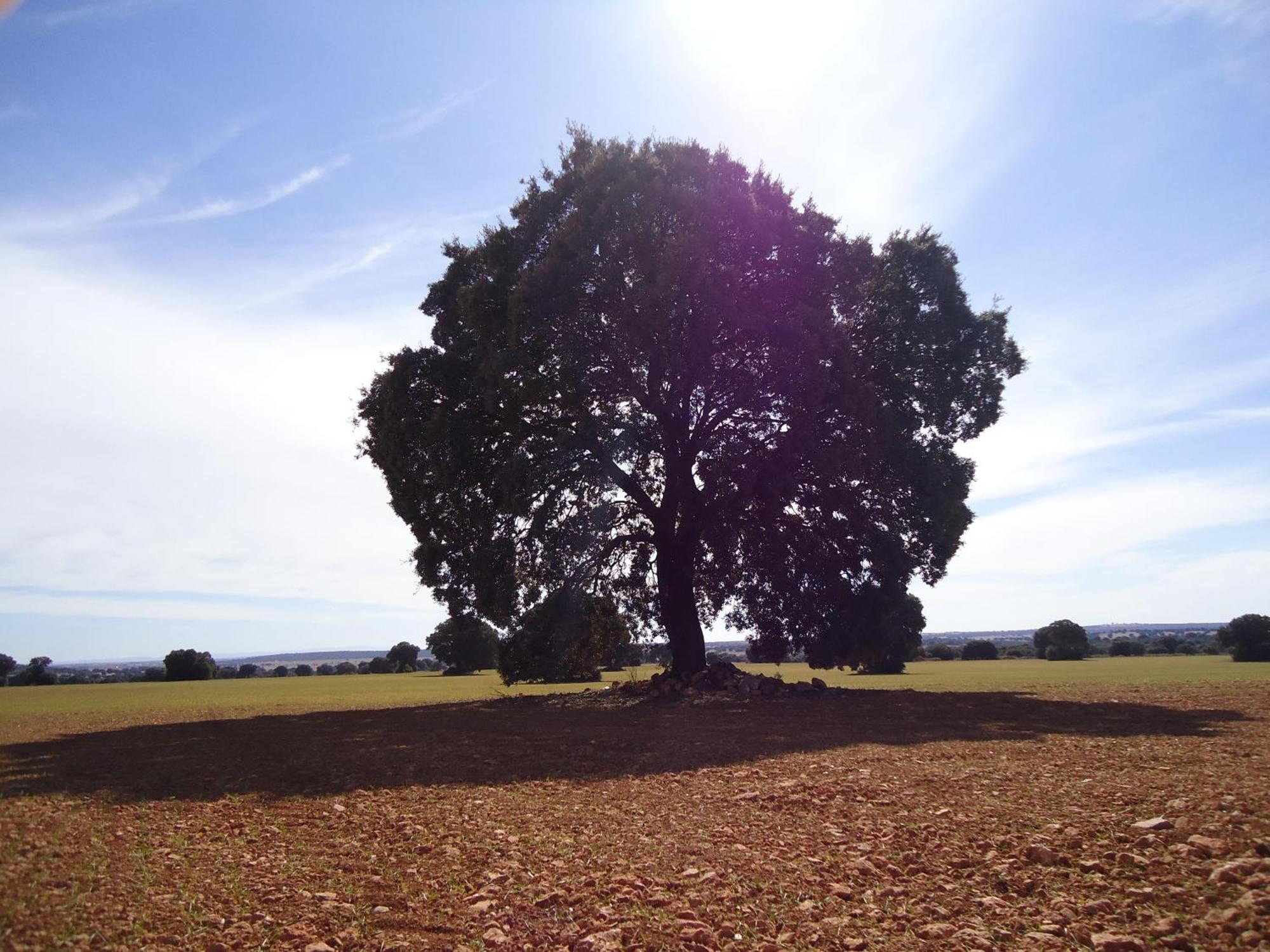 Villa Cerro Moreno Ossa de Montiel Bagian luar foto